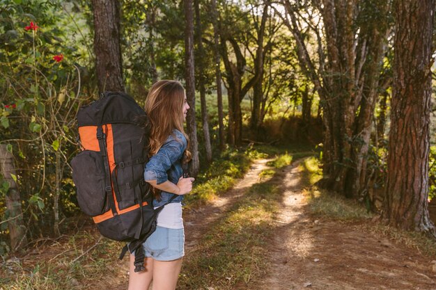 Vue arrière d&#39;une femme avec sac à dos debout dans la forêt