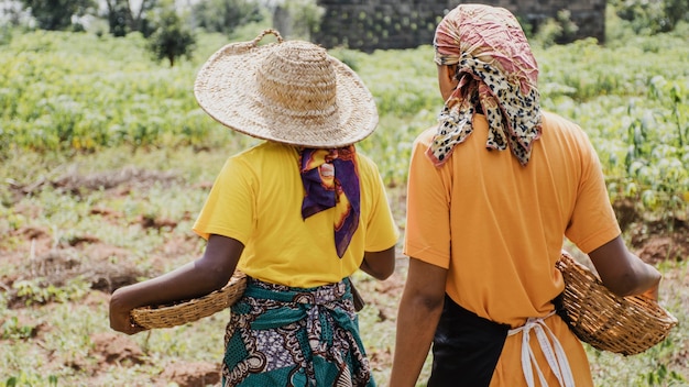 Vue arrière des femmes de la campagne à l'extérieur