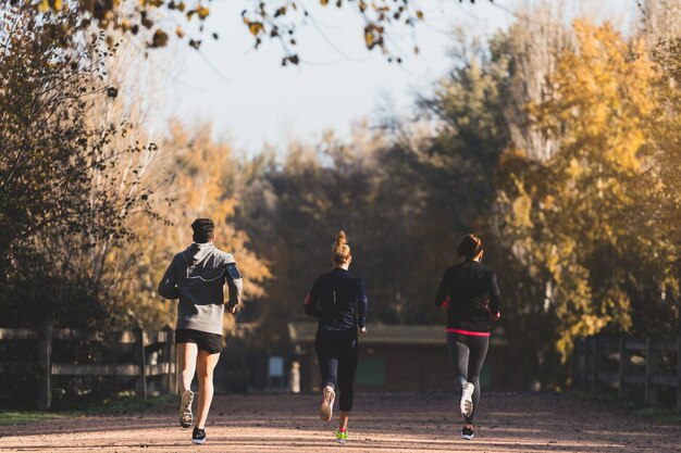 Vue arrière de gens courir en plein air