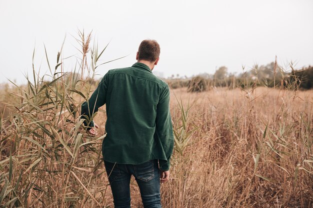 Vue arrière homme marchant dans un champ de blé