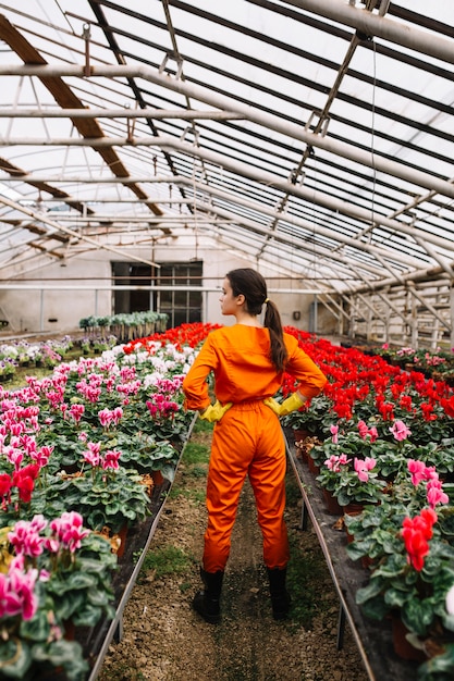 Photo gratuite vue arrière d'un jardinier debout près de fleurs colorées en serre