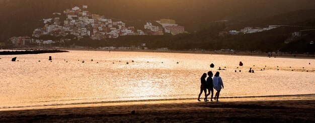 Vue arrière des personnes marchant le long de la plage au coucher du soleil scénique