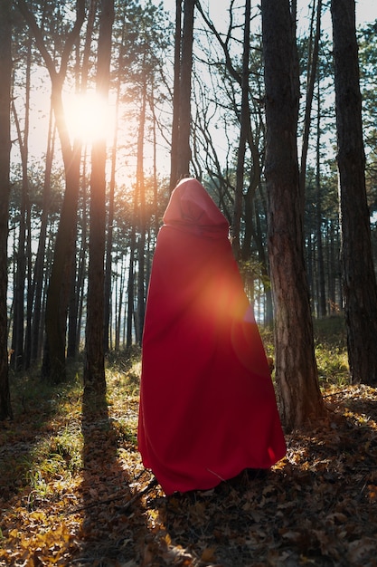 Vue arrière petit chaperon rouge dans la forêt