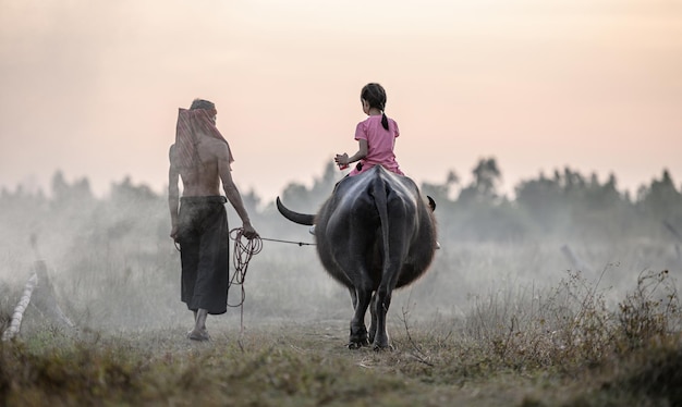 Vue arrière, petite fille asiatique à cheval sur buffle et grand-père pagne torse nu et turban marchant dans les champs, fumée en arrière-plan et espace de copie, scène rurale de la campagne