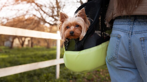 Vue arrière propriétaire tenant un sac avec un chien