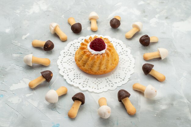 Vue avant de bâton de cookies doux avec différentes capes de chocolat bordées de gâteau sur la surface gris clair biscuit gâteau biscuit