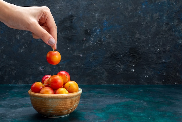 Vue avant de la cerise-prunes fraîches fruits moelleux et aigres à l'intérieur de petit pot sur le bureau bleu foncé fruits mûrs frais mûrs