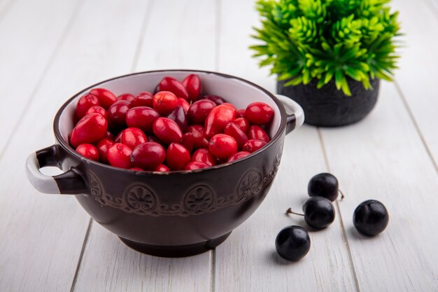 Vue avant du cornouiller dans un bol avec des cerises douces sur fond blanc