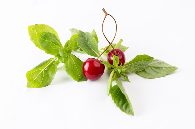 Vue avant paire de cerises aigres et moelleuses avec des feuilles vertes sur gris