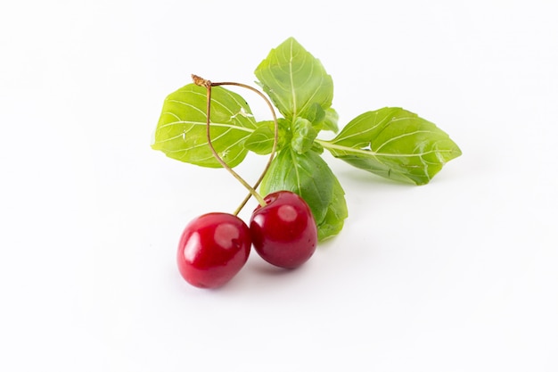 Vue avant paire de cerises rouges avec des feuilles vertes sur blanc