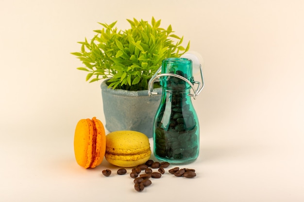 Une vue avant pot avec café macarons français et plante verte sur la table rose graines de fleurs de couleur café