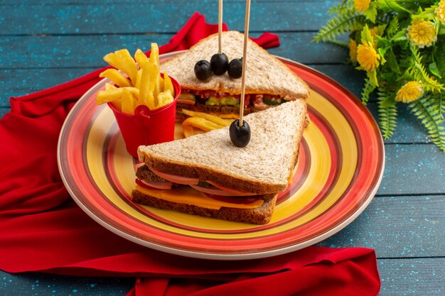 Vue avant de savoureux sandwichs à l'intérieur de la plaque colorée à l'intérieur du jambon au fromage avec des frites sur bleu