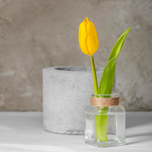 Photo gratuite vue avant de la tulipe jaune dans un vase