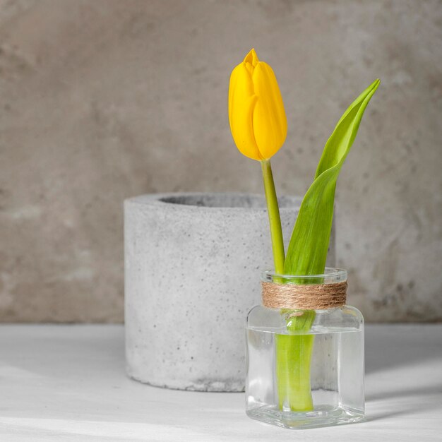 Vue avant de la tulipe jaune dans un vase