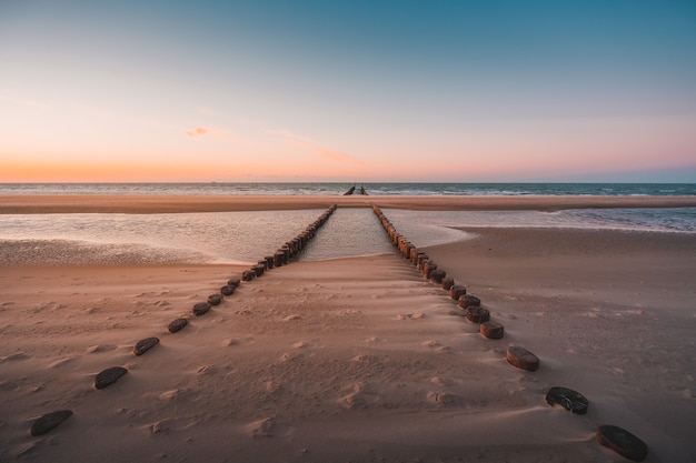 Vue des bûches de bois couvertes sous le sable sur la plage capturée à Oostkapelle, Pays-Bas