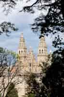 Photo gratuite vue sur la cathédrale historique avec brunchs dans les arbres