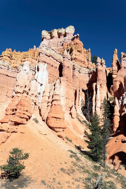 Vue célèbre du sentier Navajo à Bryce Canyon, Utah