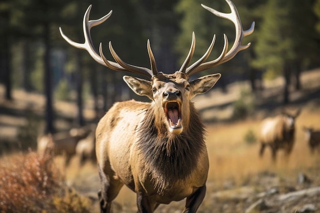 Photo gratuite vue d'un cerf sauvage avec un paysage naturel