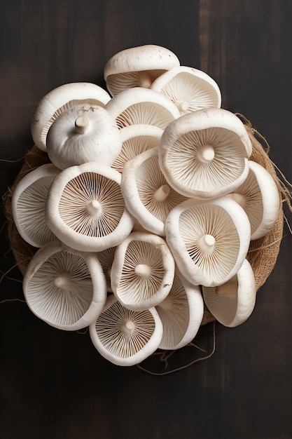 Photo gratuite vue des champignons comestibles