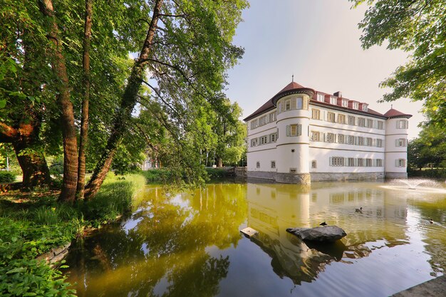 Vue sur le château à douves entouré d'arbres à Bad Rappenau, Allemagne