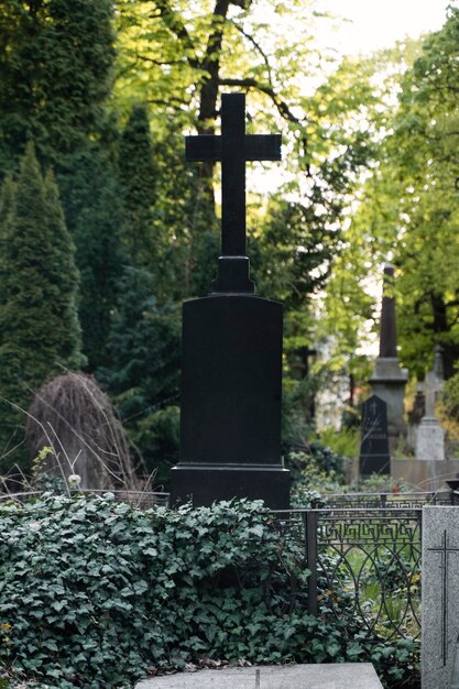 Vue d'un cimetière avec des pierres tombales