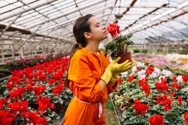 Vue de côté d&#39;une jardinière femelle sentant une fleur rouge