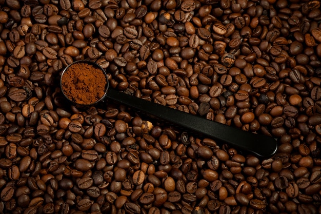 Vue de la cuillère avec des grains de café