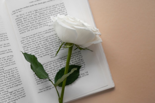 Vue de délicate rose blanche avec livre
