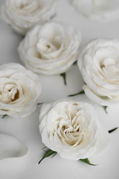 Photo gratuite vue de délicates fleurs roses blanches