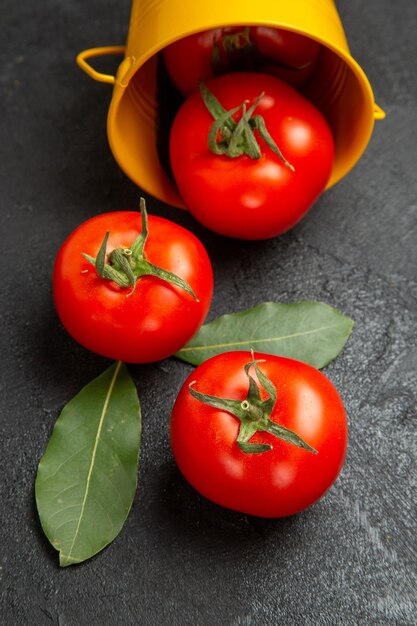 Vue de dessous seau avec tomates rouges sur fond sombre