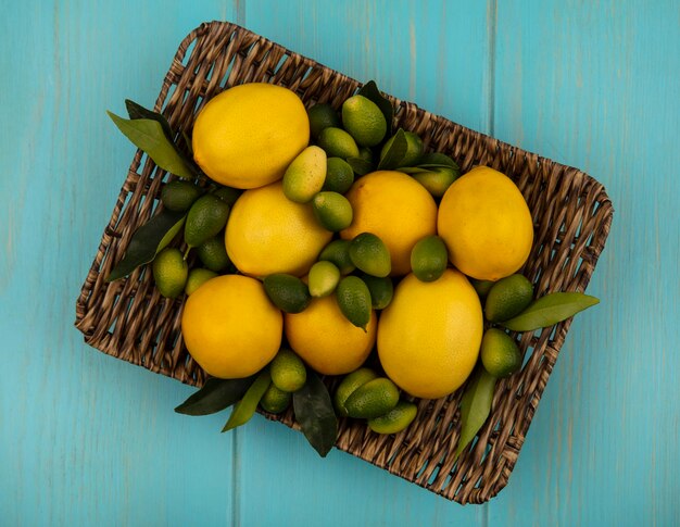 Photo gratuite vue de dessus d'agrumes tels que les kinkans et les citrons sur un plateau en osier sur un mur en bois bleu