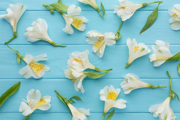 Photo gratuite vue de dessus arrangement d'alstroemeria blanc