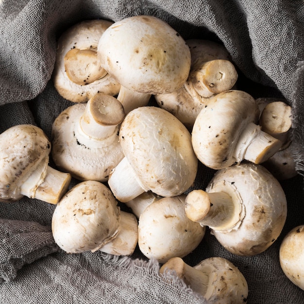 Vue de dessus arrangement de champignons sains