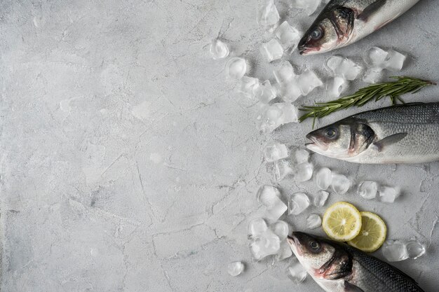 Vue de dessus arrangement de poisson avec de la glace