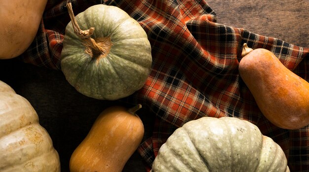 Vue de dessus de l'assortiment de courges d'automne