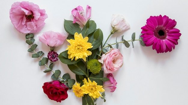 Vue de dessus d'un assortiment de fleurs magnifiques