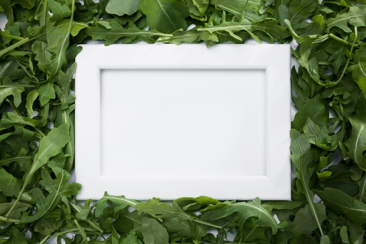 Photo gratuit vue de dessus assortiment de fusée avec cadre
