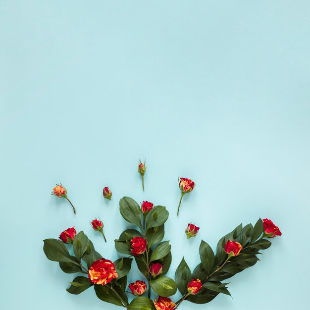 Vue de dessus assortiment de roses et de feuilles de jardin