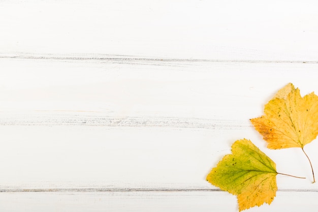 Vue de dessus automne feuilles sur fond en bois avec espace de copie