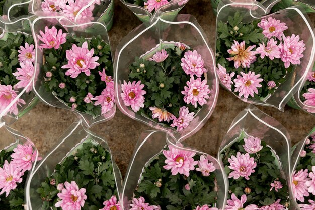 Vue de dessus de beaux bouquets de fleurs