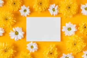 Photo gratuite vue de dessus belle composition de fleurs de printemps avec carte vide
