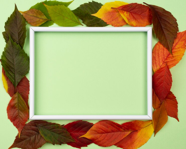 Photo gratuit vue de dessus de belles feuilles d'automne avec espace copie et cadre