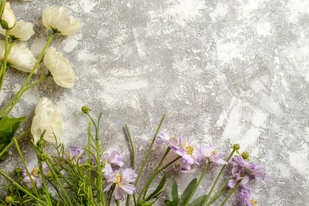 Vue de dessus de belles fleurs sur la beauté du jardin de fleurs de surface blanche