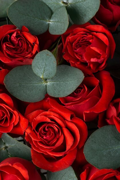 Vue de dessus de belles fleurs de couleur rouge