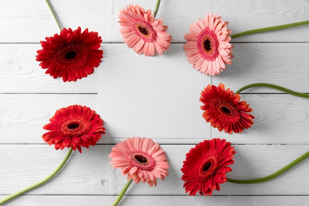 Vue de dessus de belles fleurs