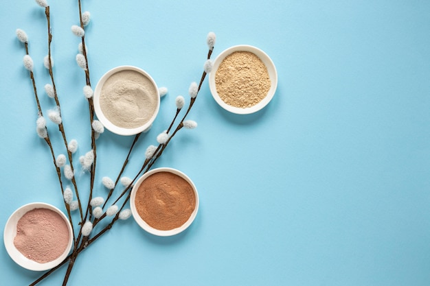 Vue de dessus des bols remplis de sable et de plantes