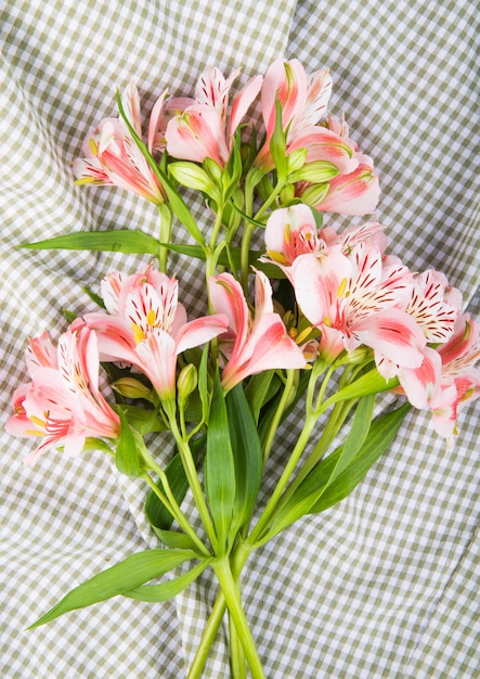 Photo gratuite vue de dessus d'un bouquet de fleurs d'alstroemeria de couleur rose sur fond de tissu à carreaux