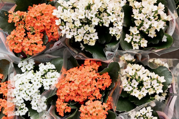 Photo gratuite vue de dessus des bouquets de belles fleurs