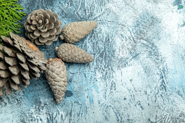 Photo gratuite vue de dessus branche de pin pinecones fermé et ouvert sur l'espace libre de table gris