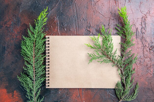 Vue de dessus des branches d'un arbre de pin pour ordinateur portable sur fond rouge foncé